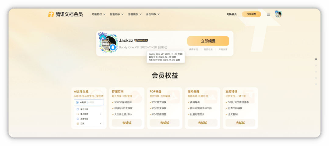 腾讯文档 VIP 页面，展示超级会员 Plus 权益与到期时间